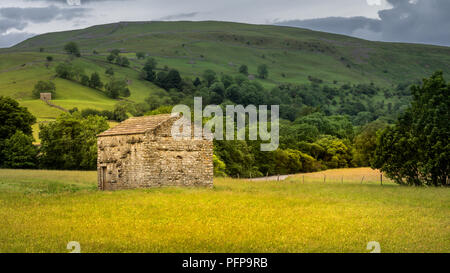 Swaledale in den Yorkshire Dales National Park seinen oberen Teile besonders auffällig sind wegen der großen alten Kalkstein Feld Scheunen, Wände aus Stein Stockfoto