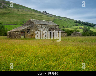 Swaledale in den Yorkshire Dales National Park seinen oberen Teile besonders auffällig sind wegen der großen alten Kalkstein Feld Scheunen, Wände aus Stein Stockfoto