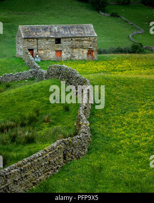 Swaledale in den Yorkshire Dales National Park seinen oberen Teile besonders auffällig sind wegen der großen alten Kalkstein Feld Scheunen, Wände aus Stein Stockfoto