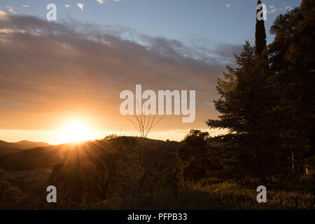 Golden Sunset über Südkalifornien Hügel im Herbst, Silhouette von großen Kiefern, Steineichen, Hügel und Berge im Hintergrund gegen warme Frieden Stockfoto