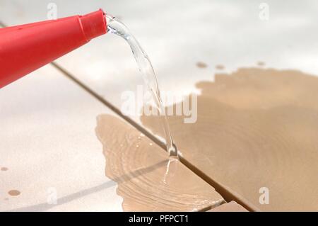 Das Gießen von Wasser in die Lücken zwischen Terrasse Platten, close-up Stockfoto