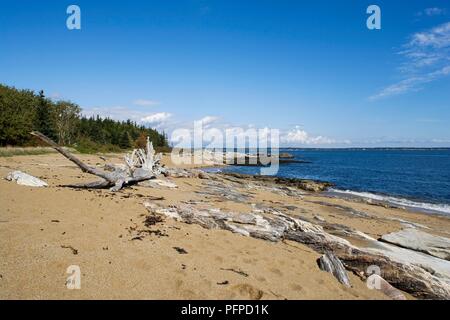 USA, Maine, Georgetown, Treibholz auf einsamen Strand in Reid State Park Stockfoto