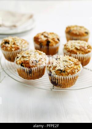 Blueberry oat Muffins, close-up. Stockfoto