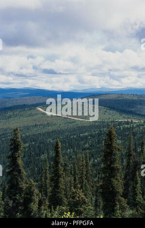 Kanada, Yukon Territory, Oberseite der Welt Highway von nadelwald gesehen Stockfoto
