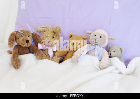 Fünf Kuscheltiere im Bett gegen lila Kissen und weisse Decke sitzen Stockfoto