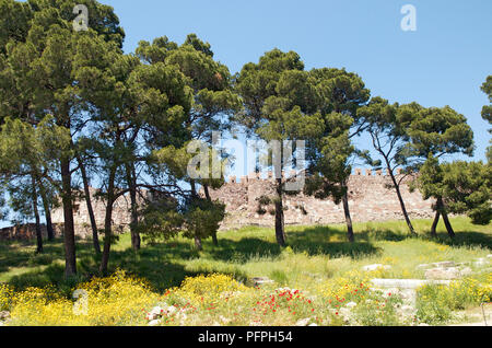 Griechenland, Lesbos Insel, Mithymna (ehemals Molyvos), Kiefern und Wildblumen in die Landschaft, die Byzantine-Genoese Festung im Hintergrund Stockfoto