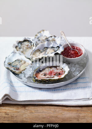 Austern, Muscheln auf Eis mit Schalotten, Essig und Dressing Stockfoto