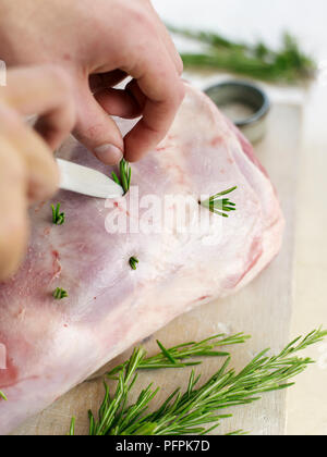 Abnageln Lammkeule mit frischem Rosmarin, mit Spitze des Messer Zweige in die Bohrungen einsetzen Stockfoto