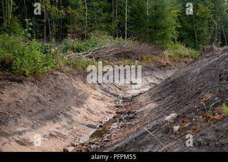 System der Entwässerungsgraben im Holz für Wasser gaseinnahme Stockfoto