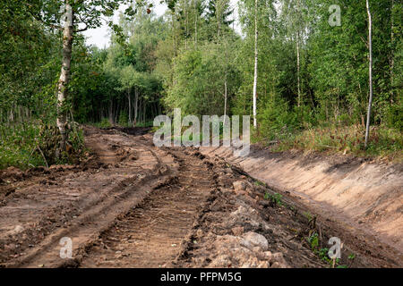 System der Entwässerungsgraben im Holz für Wasser gaseinnahme Stockfoto