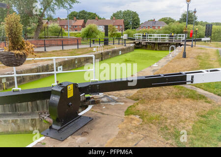 Selby Kanal und Schloss in North Yorkshire, UK, die in dicken, grünen Algen, pondweed und Wasserlinsen verursacht Probleme für die Tier- und Pflanzenwelt und Segler. Horizontale Stockfoto