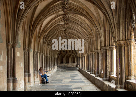 Der Kreuzgang umschließt einen quadratischen Freiraum neben der Kathedrale von Norwich, Norfolk, East Anglia, Großbritannien, wo die Menschen sitzen und sich ausruhen können. Stockfoto