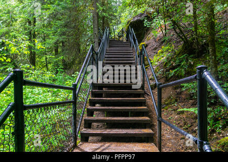 Treppen auf dem Wanderweg Richtung Toketee fällt unter den Regen,Umpqua National Forest, Oregon, USA. Stockfoto