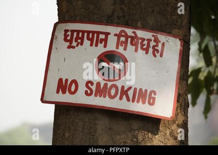 Indien, Delhi, Rauchen verboten Schild am Baum in Hindi und Englisch Stockfoto