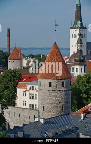 Estland, Tallinn, Altstadt, Turm der mittelalterlichen Stadtmauer und der St. Olavs Kirche Stockfoto