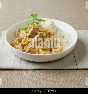 Schüssel mit Lamm Korma mit Reis und Koriander Stockfoto