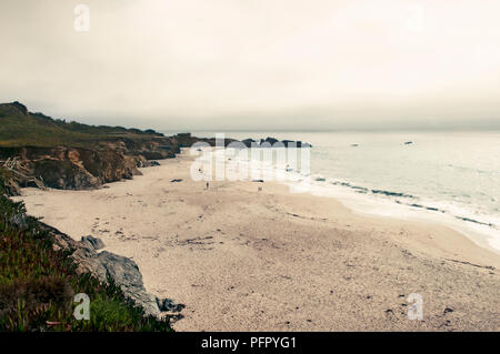 Strand, State Route 1, Big Sur, Kalifornien, USA Stockfoto