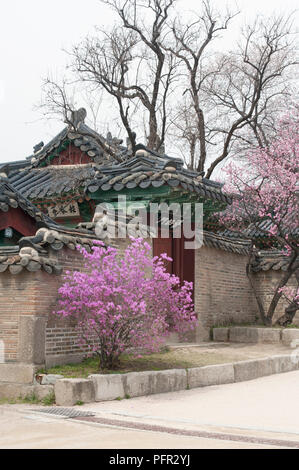 Südkorea, Seoul, Changdeokgung Palast (Changdeok Palast), Seonjeongjeon Bereich Stockfoto