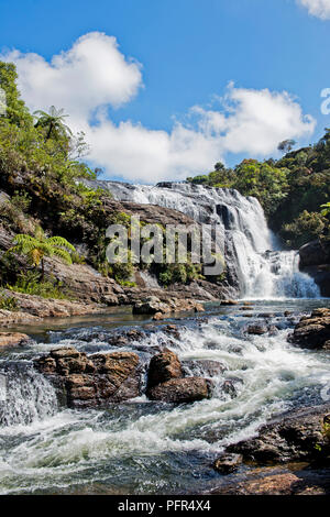 Sri Lanka, Provinz Uva, Nuwara Eliya, Bäcker fällt, Horton Plains National Park, Blick auf den Wasserfall Stockfoto