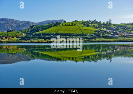 Sri Lanka, zentrale Provinz, Nuwara Eliya, Gregory See, Blick auf den See und die Berge im Hintergrund Stockfoto