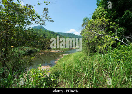 Sri Lanka, Kärnten Provinz, in der Nähe von Kitulgala, Kelani Fluss, wo Szenen aus dem Film Die Brücke am Kwai gedreht wurden Stockfoto