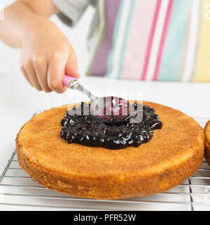 Junge Verbreitung blueberry Jam auf Biskuit Stockfoto