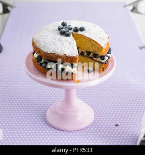 Blueberry Schwamm Kuchen Kuchen stand Stockfoto