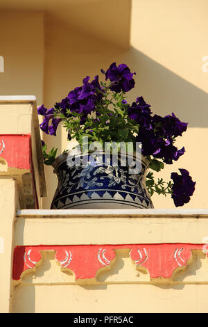 Blick auf Keramik Vase auf der Brüstung der City Palace in Udaipur, Rajasthan, Indien, Asien Stockfoto