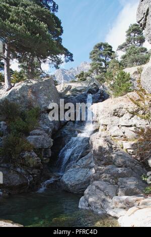 Korsika, Vizzavona, Cascade des Anglais, Wasserfall Stockfoto
