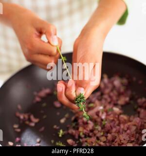 Hände entfernen Blätter von Thymian Stängel oben Pfanne die gehackte rote Zwiebeln, close-up Stockfoto