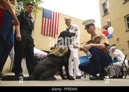 Us Marine Corps Pfc. William Melton mit speziellen Zweck Marine Air-Ground Task Force Fleet Week New York Haustiere ein pensionierter Militär Hund bei der Polizei von New York Memorial Day Grill für die Truppen in New York, New York, 28. Mai 2018. Fleet Week ist eine Möglichkeit für die amerikanische Öffentlichkeit ihre Marine Corps, Navy und der Coast Guard Teams zu treffen und America's Meer Dienstleistungen Erfahrung. Stockfoto