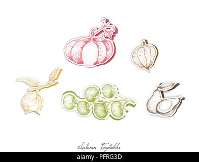 Herbst Gemüse, Satz von Hand gezeichnete Skizze der sortierten Gemüse geerntet werden im Herbst. Trendy Origami tief Paper Art Carving Stil. Stock Vektor