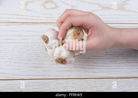 Hand, die Knoblauchzehen auf einer hölzernen Textur Stockfoto