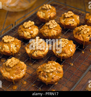 Nussig drop Kuchen auf Gitter mit Schmelz/Zuckerglasur und Walnüssen garniert, close-up Stockfoto