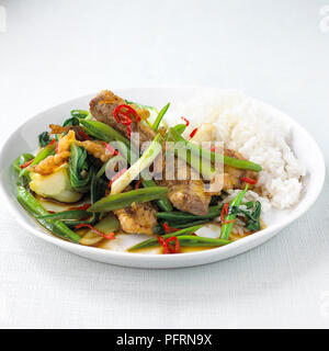 Knuspriges Rindfleisch und Gemüse in weiße Schüssel mit gekochtem Reis serviert. Stockfoto