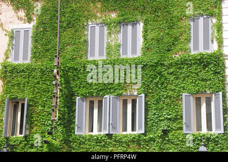 Italien, Rom, Campo dei Fiori, Hotel Campo dei Fiori, Fassade in Efeu bedeckt Stockfoto