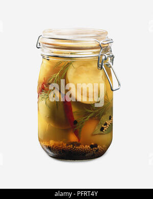 Klares Glas mit Eingelegte grüne Tomaten, chilllies, Gewürze und Kräuter Stockfoto