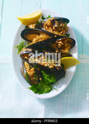 Midye dolmasi, Türkische Gefüllte Miesmuscheln, Reis, Pinienkernen und Korinthen Stockfoto