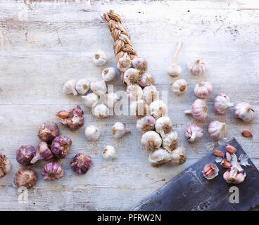 Verschiedene Arten von Knoblauch, Aglio Rosso di Nubia von Sizilien, weiß Knoblauch, geflochten, Knoblauch, Ail Rose de Lautrec (rosa Knoblauch) aus Frankreich Stockfoto