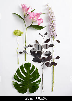 Blumen für die Flower Arrangement, rosa Rosen, Hortensien, Rittersporn, Copper Beech Blätter und monstera Blatt Stockfoto