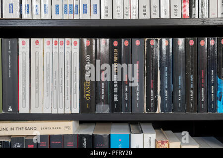 Nahaufnahme von ordentlich angeordneten Bücherregalen mit französischen Büchern, gemütlichem und kultiviertem Leseraum, Inneneinrichtung Stockfoto