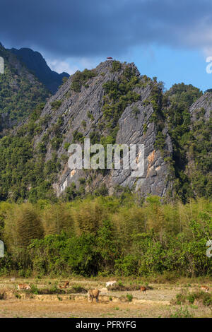 Blick auf Feldern und Felsformationen in Vang Vieng, Laos. Vang Vieng ist ein beliebtes Reiseziel für Abenteuer Tourismus in einem Kalkstein Karstlandschaft. Stockfoto