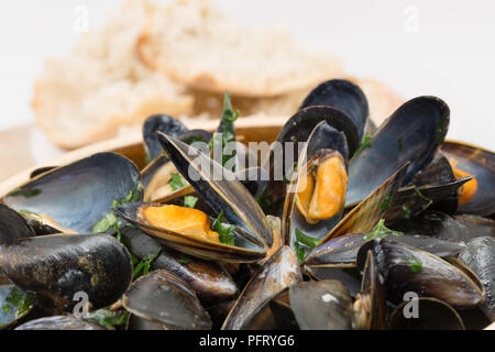 Pre-Schottisches Muscheln, m. edulis, in Weißwein und Sahne von Waitrose Supermarkt serviert in einer Schüssel. Dorset England UK GB Stockfoto