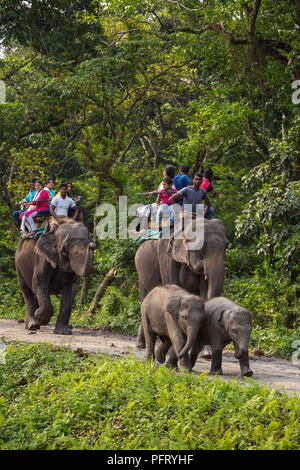 Jaldapara, Indien - 5. Mai 2017: Unbekannter Touristen, die während der Safari in Jaldapara elepahant Nationalpark, Assam, Indien. Stockfoto