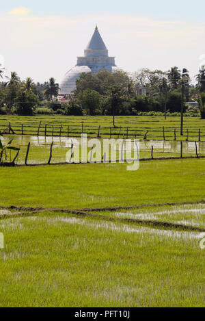 Vertikale Ansicht der Tissamaharama Raja Maha Vihara in Sri Lanka. Stockfoto