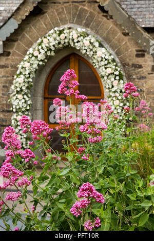 England, Cornwall, Trebetherick, daymer Bay, St. Enodoc's Church, rot Baldrian Blumen und Hochzeit Blumen Portal Stockfoto