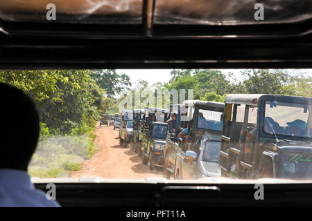 Horizontale Ansicht eines Staus von Safari Jeeps in Yala National Park, Sri Lanka. Stockfoto