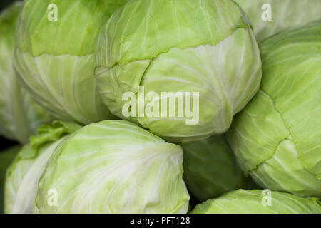 Grün und Weiß Kohl auf dem Markt. Stockfoto