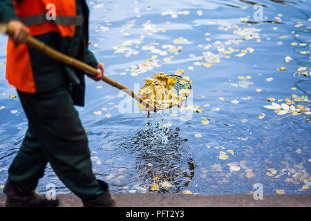 Abstrakte Reinigung Schwimmbad Teich im Park von gefallenen Blätter mit Skimmer, Herbst, Auftrag in der Stadt draußen, jahreszeitliche Stimmung Stockfoto