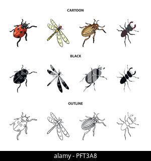 Gliederfüßer Insekten Marienkäfer, Libelle, Käfer, Colorado Käfer Insekten set Sammlung Icons im Cartoon, schwarz, Outline style Vektor Symbol lieferbar isometr Stock Vektor